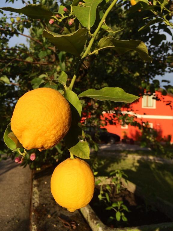 Agriturismo Ca' La Pergola Lugagnano Eksteriør bilde