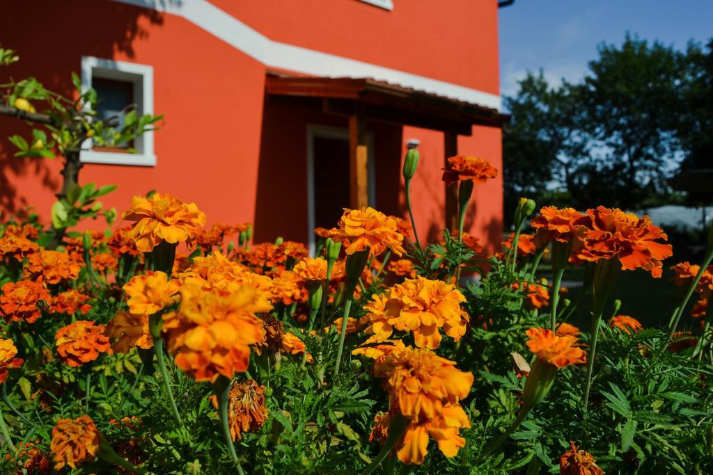 Agriturismo Ca' La Pergola Lugagnano Eksteriør bilde