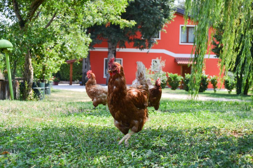Agriturismo Ca' La Pergola Lugagnano Eksteriør bilde
