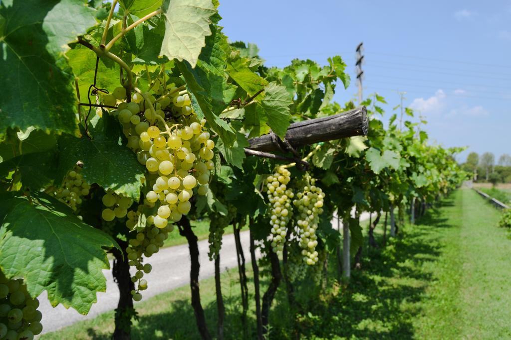 Agriturismo Ca' La Pergola Lugagnano Eksteriør bilde